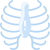 Ribs icon