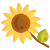 Sonnenblume icon