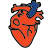 Medical Heart icon