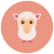 Lamb icon