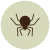 Spider icon