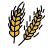 Weizen icon