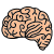 Brain icon