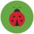 Insect icon