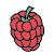 Raspberry icon