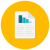 Statistic Document icon