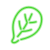 Spinach icon