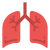 Anatomy icon