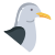 Seagull icon