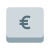 Euro Key icon
