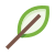 Leaf icon