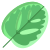 Calathea Leaf icon