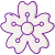 Sakura icon