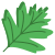 Hawthorn Leaf icon