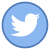 Twitter cerchiato icon