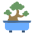 Bonsai Tree icon