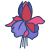 Fuchsia icon