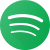 Spotify Logo icon