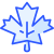 Mapple Leaf icon