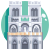 Notre-Dame icon