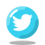 Twitter cerchiato icon