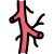 Anatomy icon