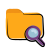 Search Folder icon