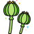 Opium icon
