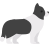 边境牧羊犬 icon