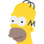 Homer Simpson icon