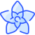 外部-ホヤ-花-ヴィタリー-ゴルバチョフ-ブルー-ヴィタリー-ゴルバチョフ icon