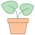 Plante en pot icon