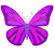 Butterfly icon