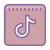 TikTok icon