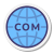 도메인 이름 icon