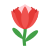 -プロテアの花 icon