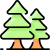Picea icon