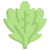 Arugula icon