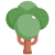 Arbre icon