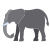 Elefante icon