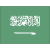 사우디 아라비아 icon