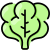 Spinach icon