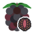 Blackberry icon