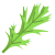 Mizuna Leaf icon