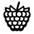 Raspberry icon