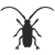 Longhorn Beetle icon