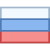 Russian Federation icon