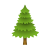 albero sempreverde icon
