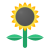 Girasole icon