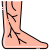 Varicose Veins icon